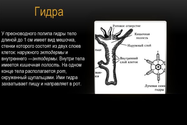 Омг ссылка тор